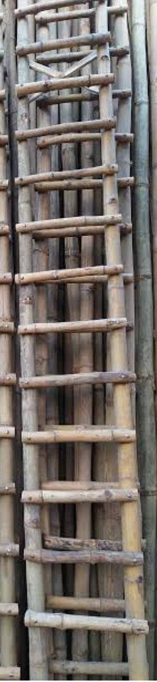 wooden solid  Ladder