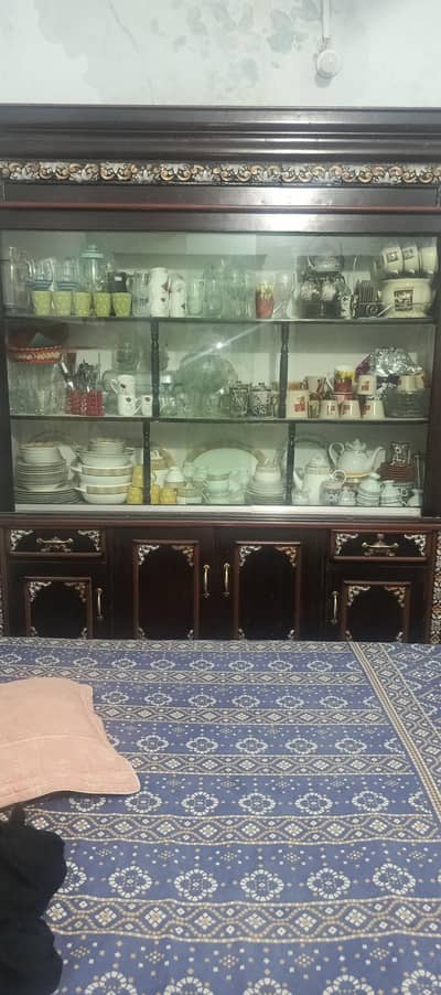 showcase use only 6 month
