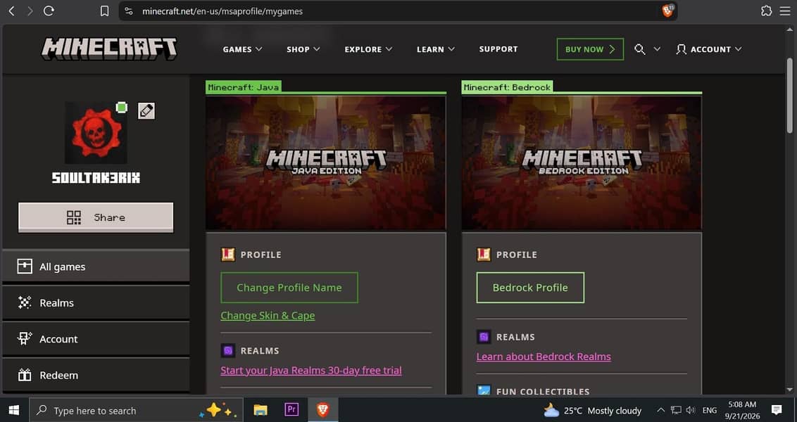 Minecraft Official 1