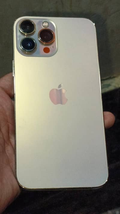 Apple iPhone 13 Pro Max