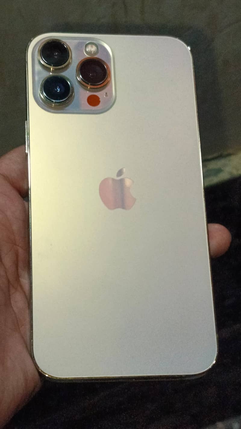 Apple iPhone 13 Pro Max 0