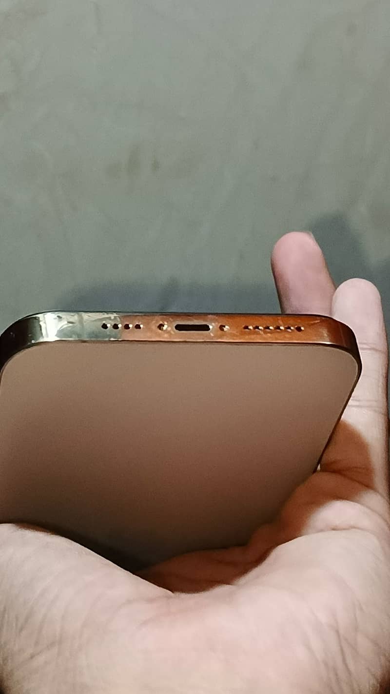 Apple iPhone 13 Pro Max 4