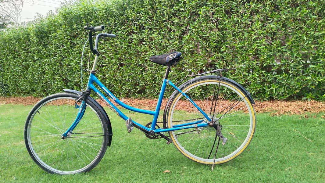 cycle 0