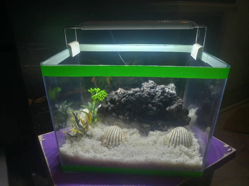 Premium Mini Aquarium Complete Setup 0