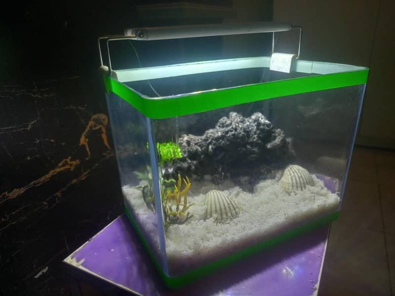 Premium Mini Aquarium Complete Setup 3