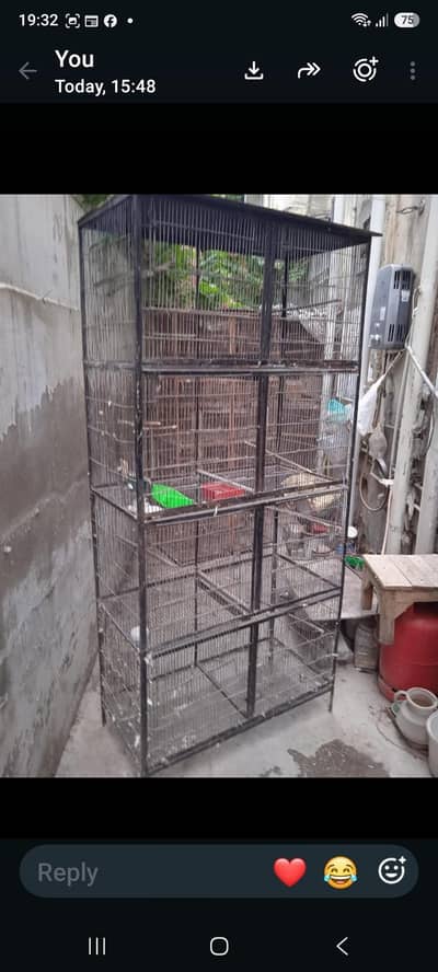 bird cages