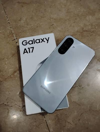 Samsung A17 8/256