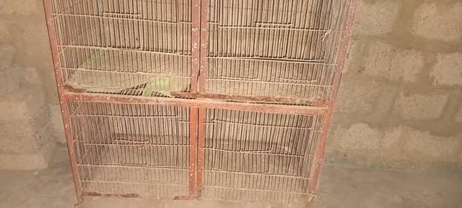 5 portion cage for hens