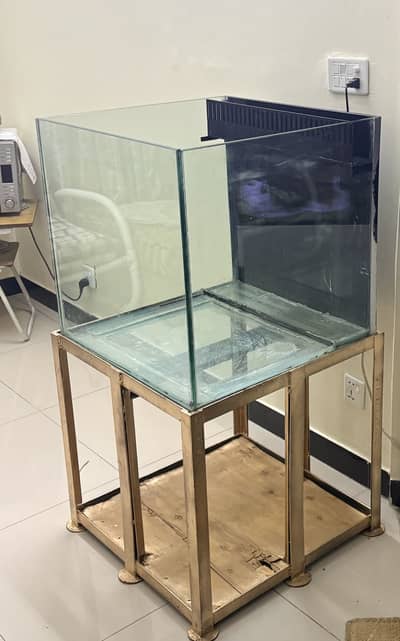 Aquarium Tank (2x2 ft) with Heavy Duty Iron Stand & Overflow Ready