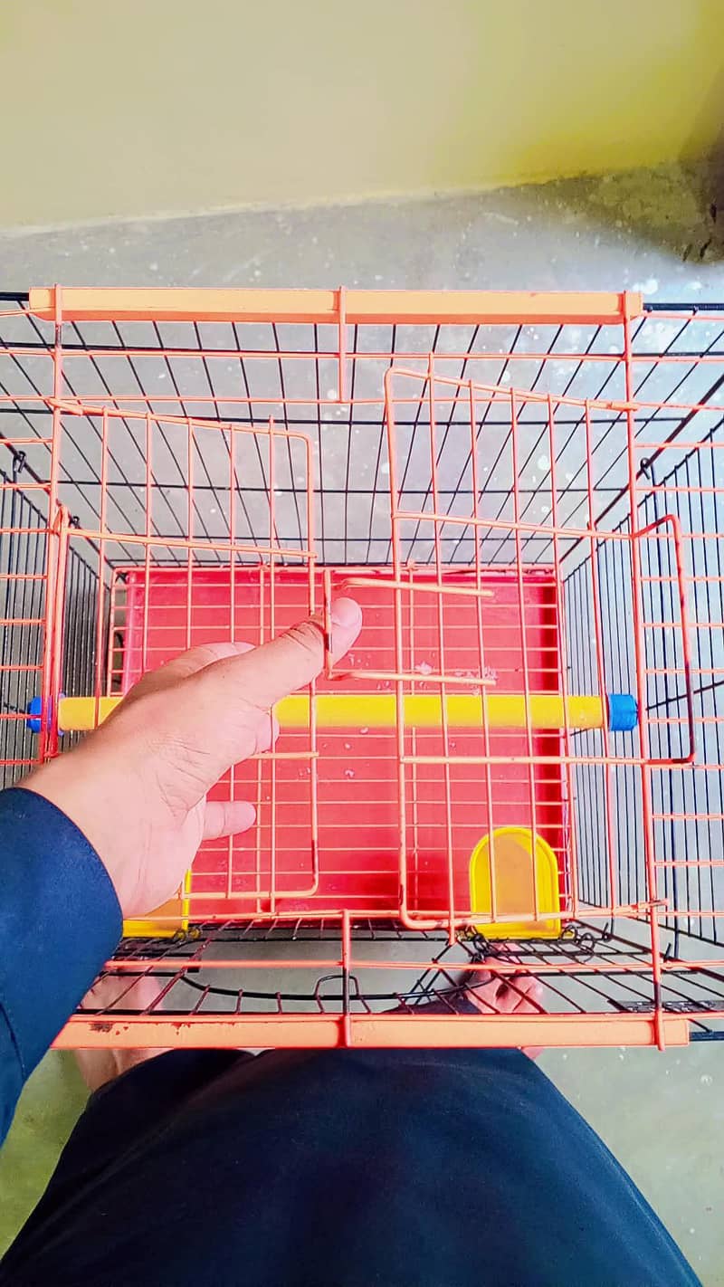 Fancy Cage 1