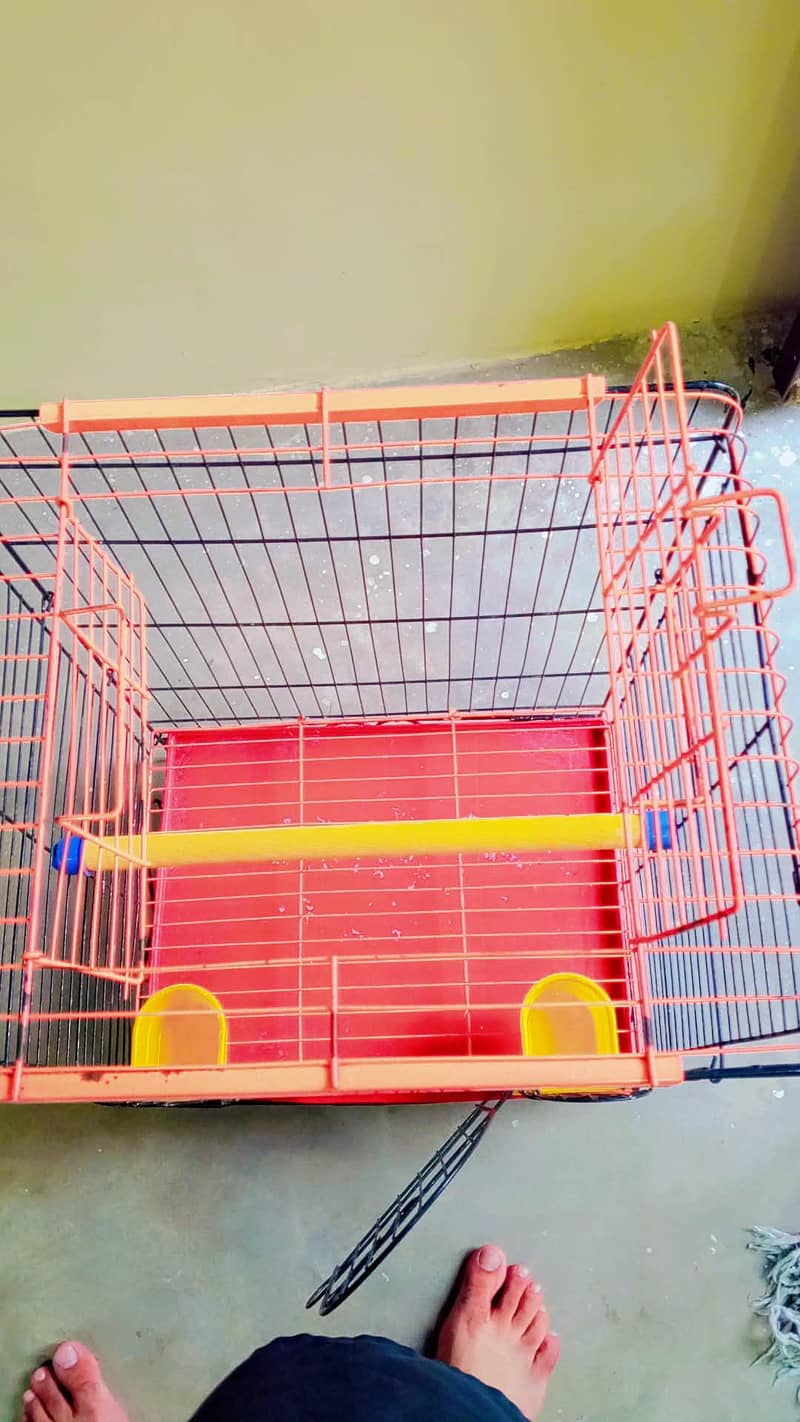 Fancy Cage 3