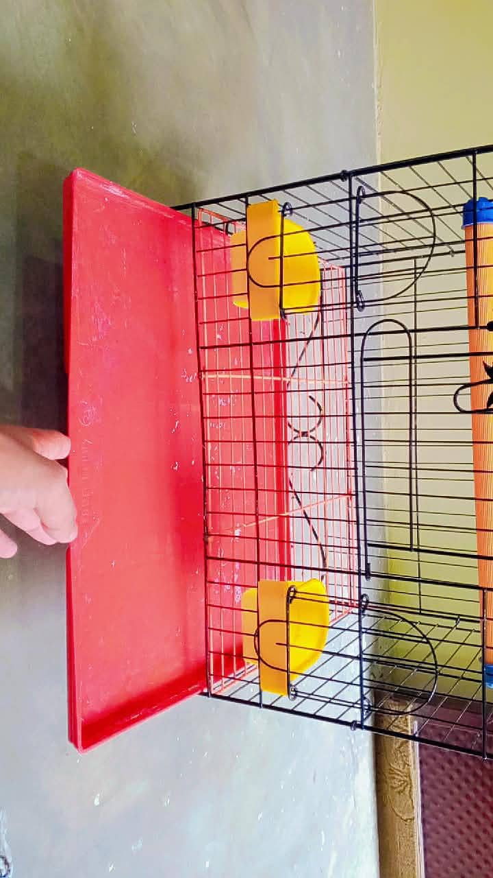 Fancy Cage 5