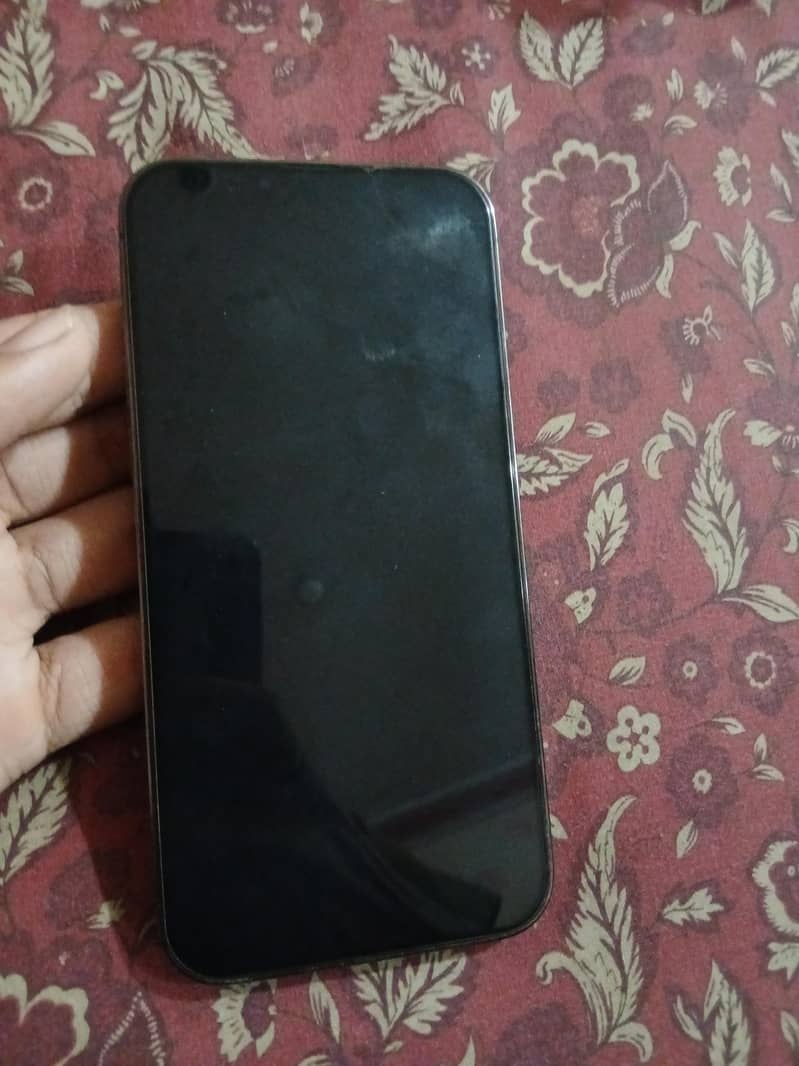 Apple iPhone 13 Pro Max 1