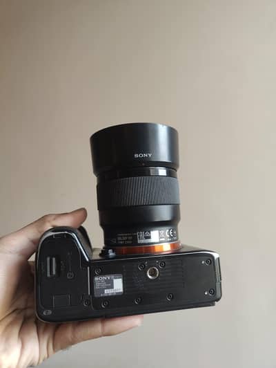 Sony a7 III with 50mm 1.8