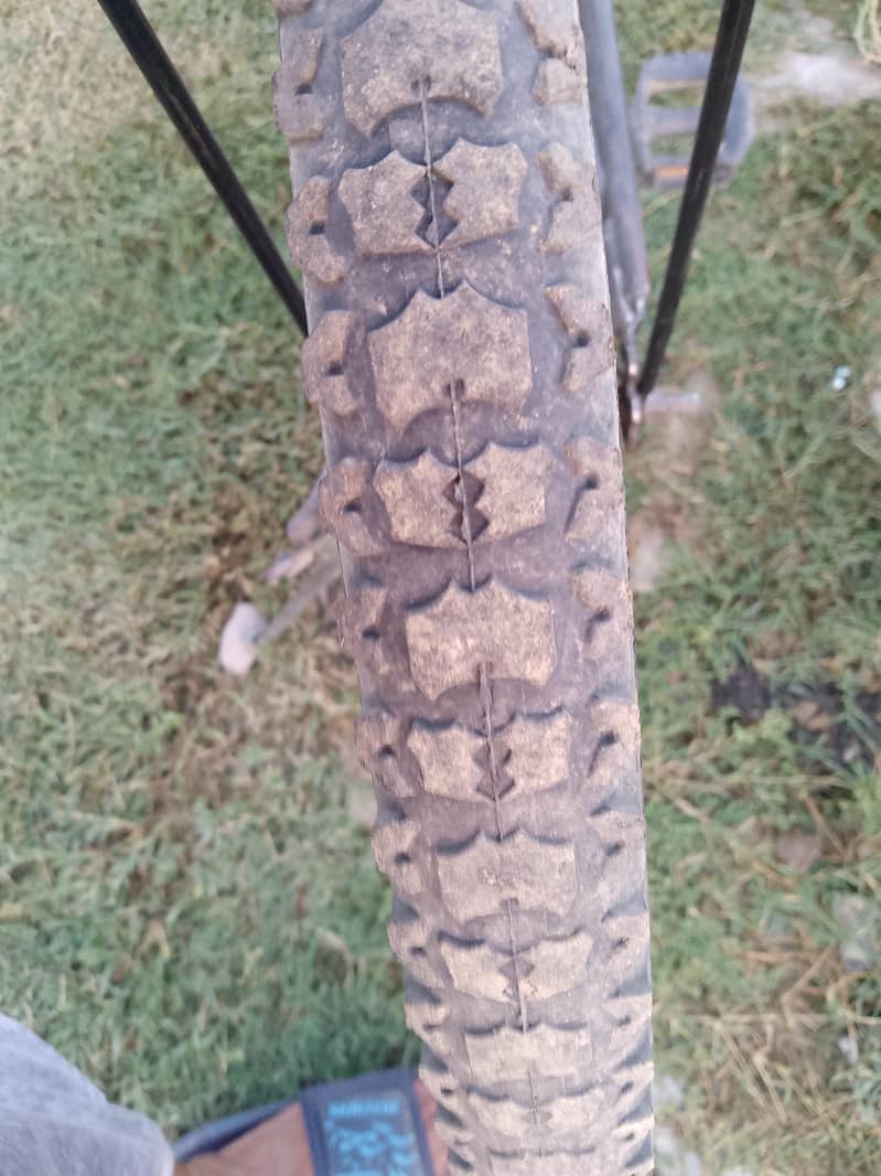 bicycle 5