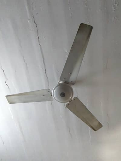 Asghar Ceiling Fan 56" Size