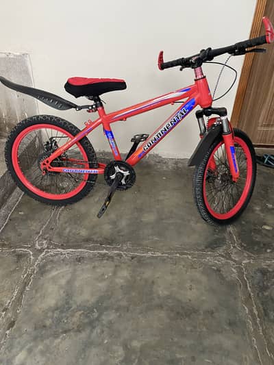Cycle 20