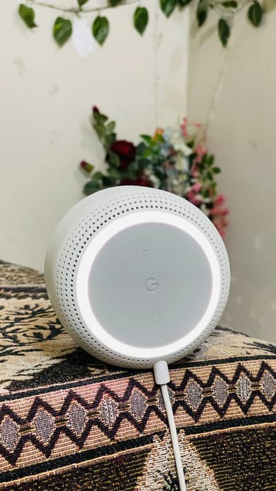 Google nest 360 Speaker/Voice Assistant