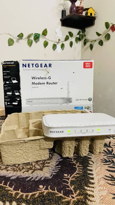 Netgear Wireless-G Modem Router (DG834G)