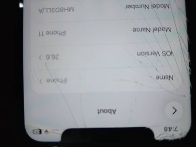 Apple iPhone 11 1