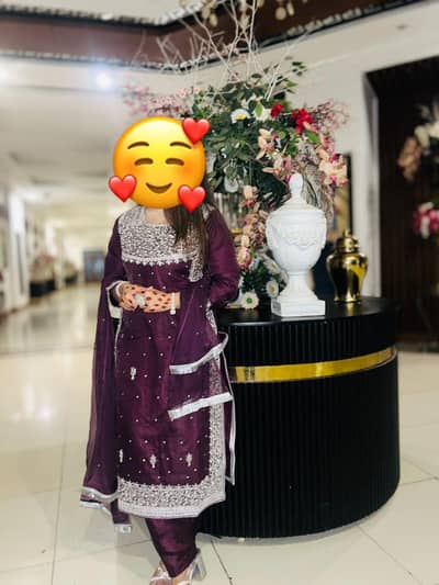 Beautiful Embroidered 3-Piece Organza Dress – Pre-Loved