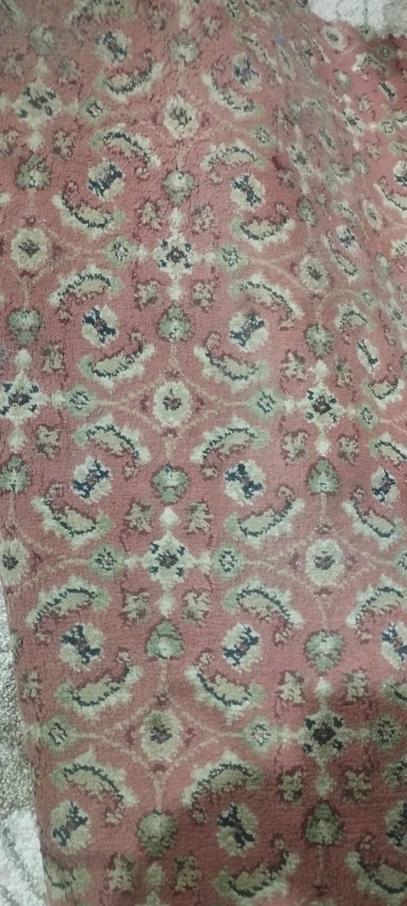 Used carpet 0