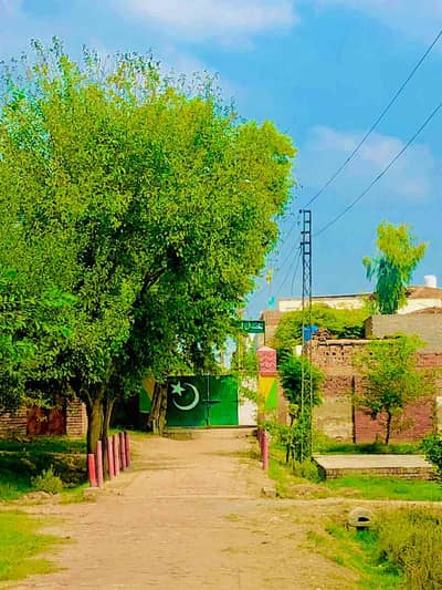 Hassan ali