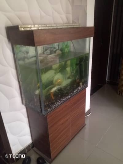 aquarium