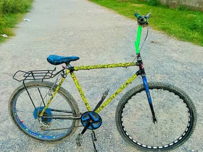 PHONEX CYCLE