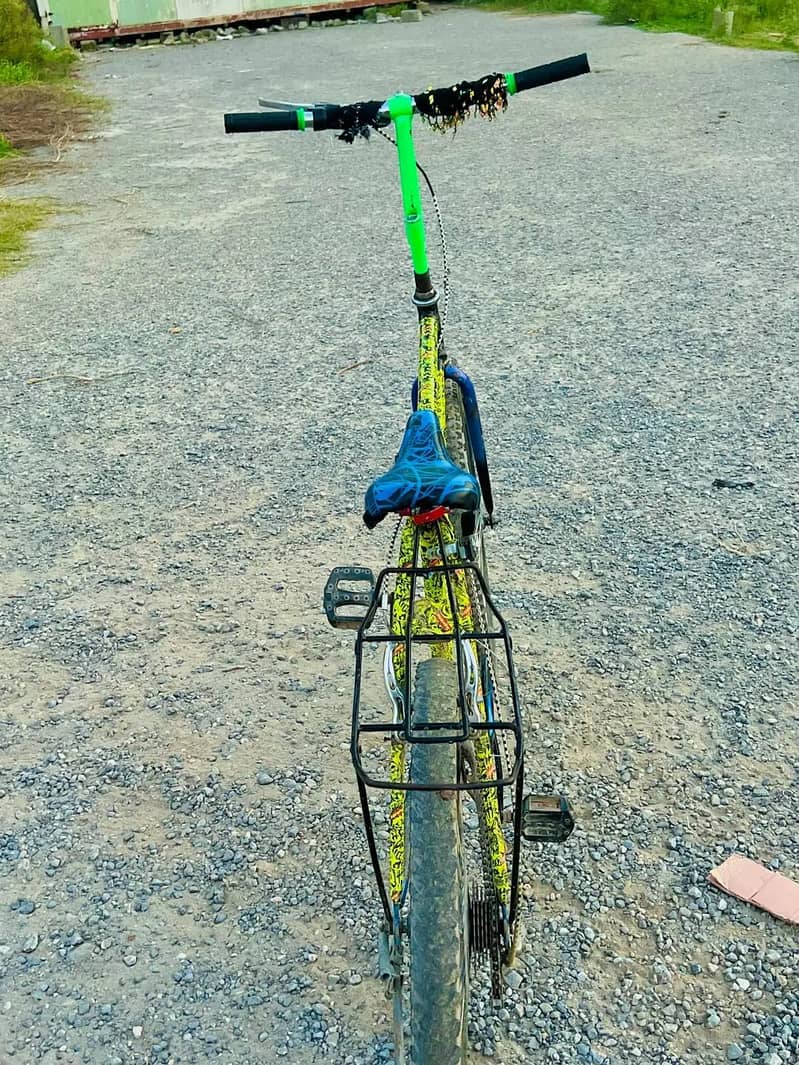 PHONEX CYCLE 3
