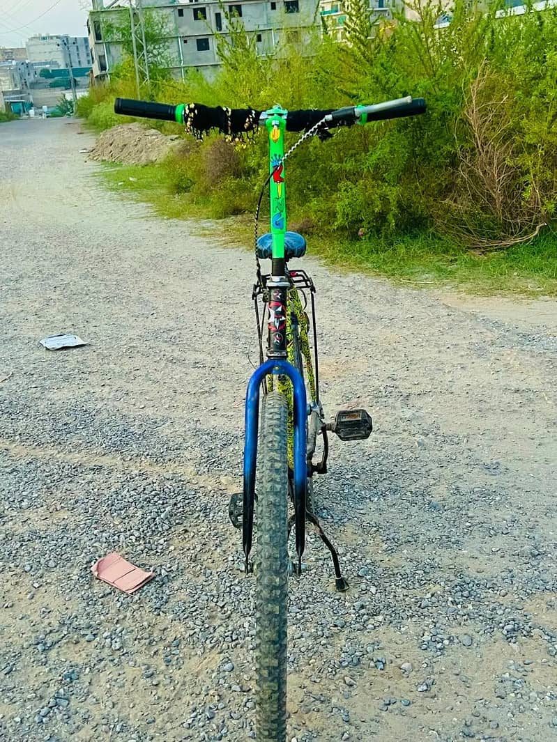 PHONEX CYCLE 5
