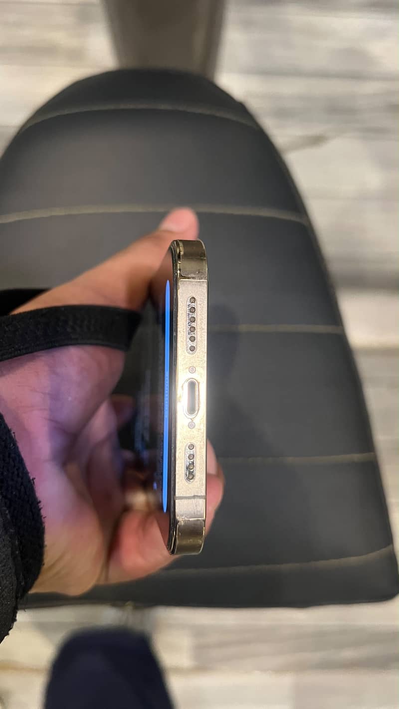 Apple iPhone 13 Pro Max 5