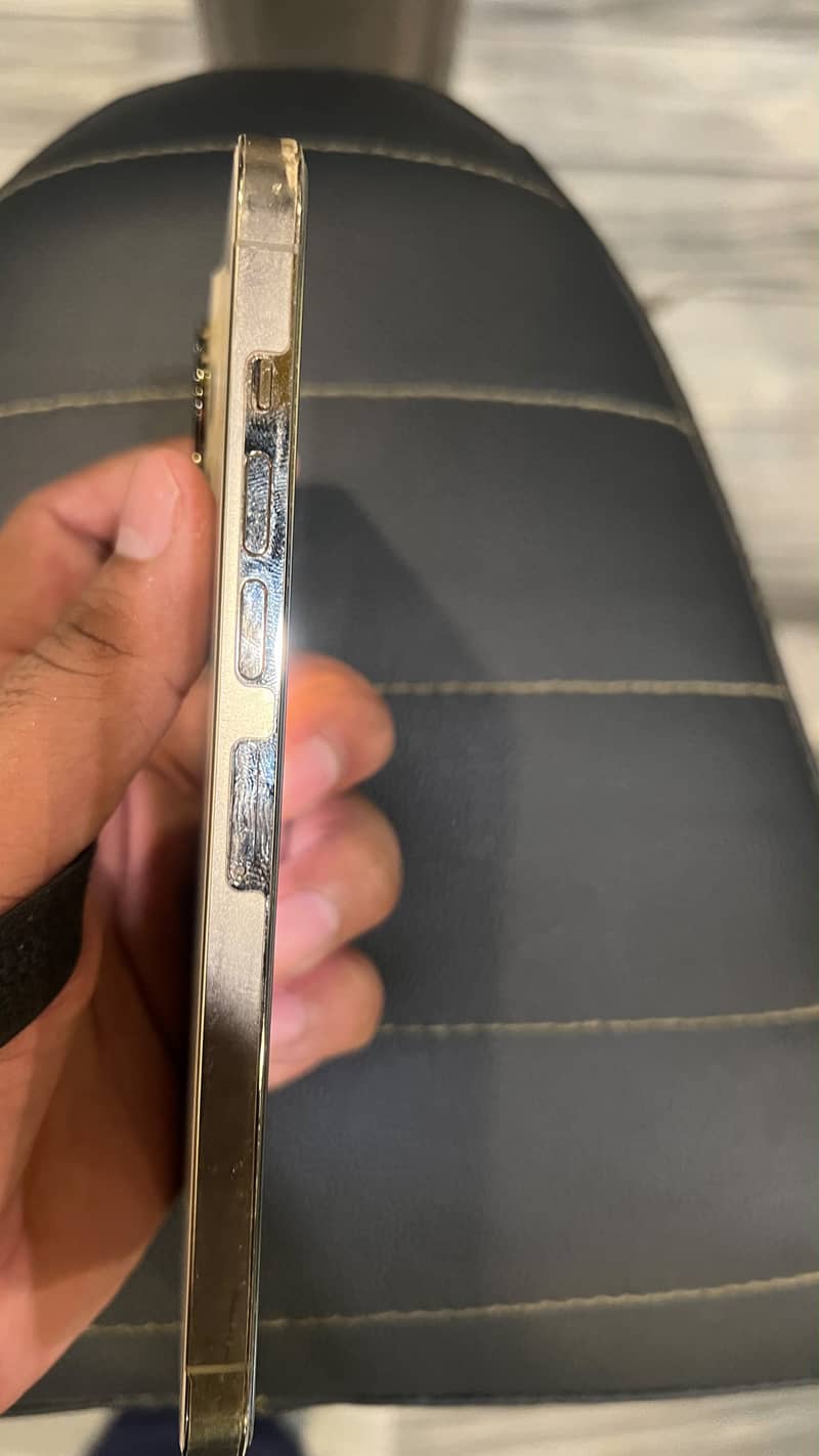 Apple iPhone 13 Pro Max 6