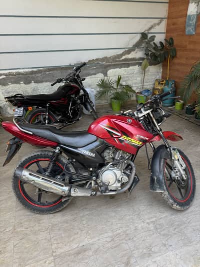 Yamaha ybr 125G