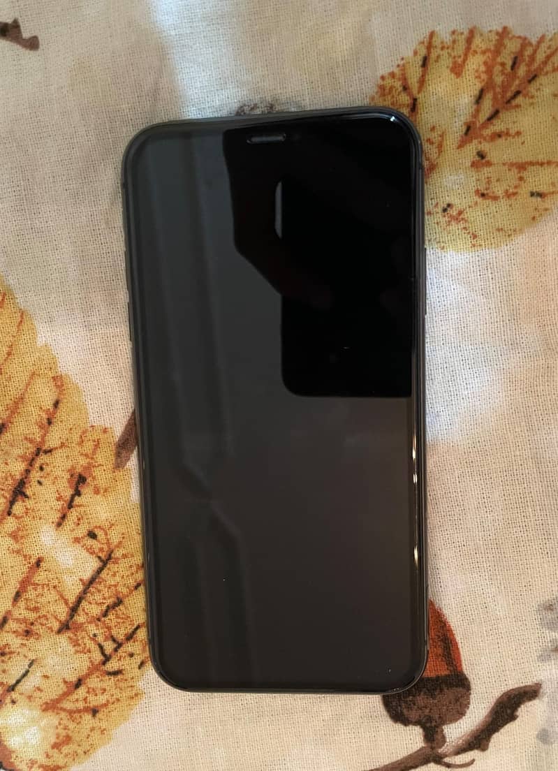 Apple iPhone 11 1