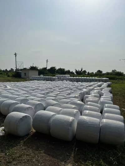 Silage Bales for Sale , Premium Animal Feed for Dairy Cattle