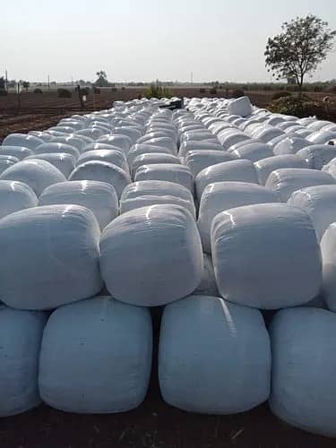Silage Bales for Sale , Premium Animal Feed for Dairy Cattle
