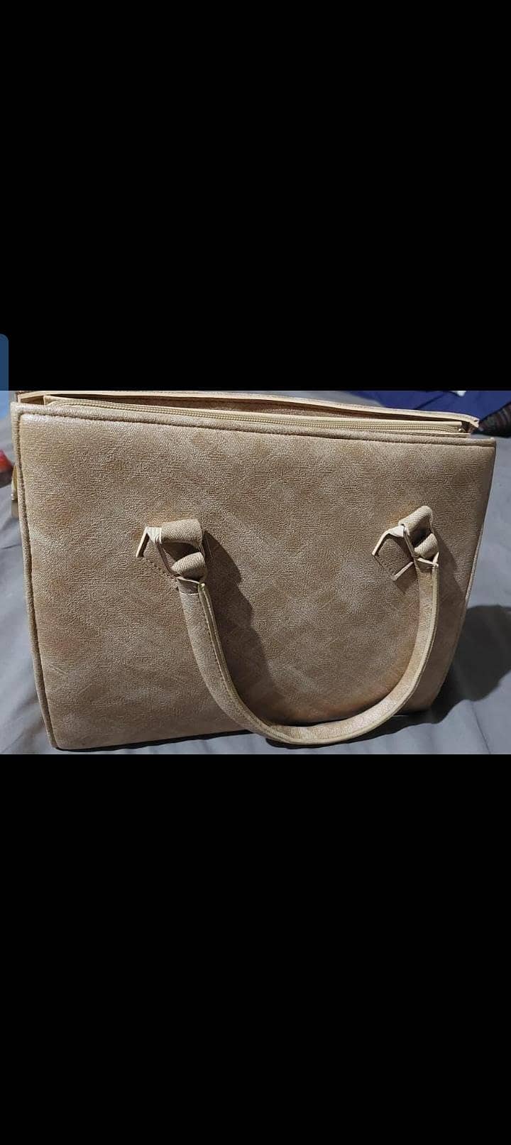 handbag 1