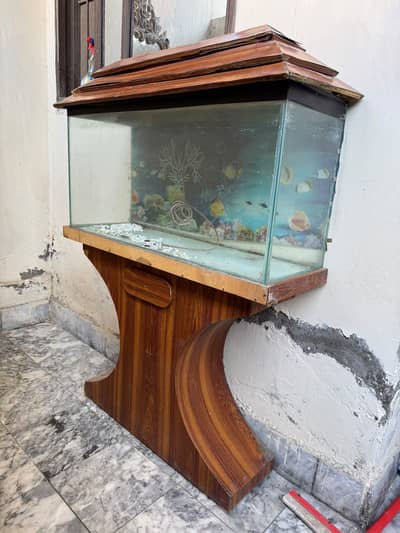 Fish aquarium