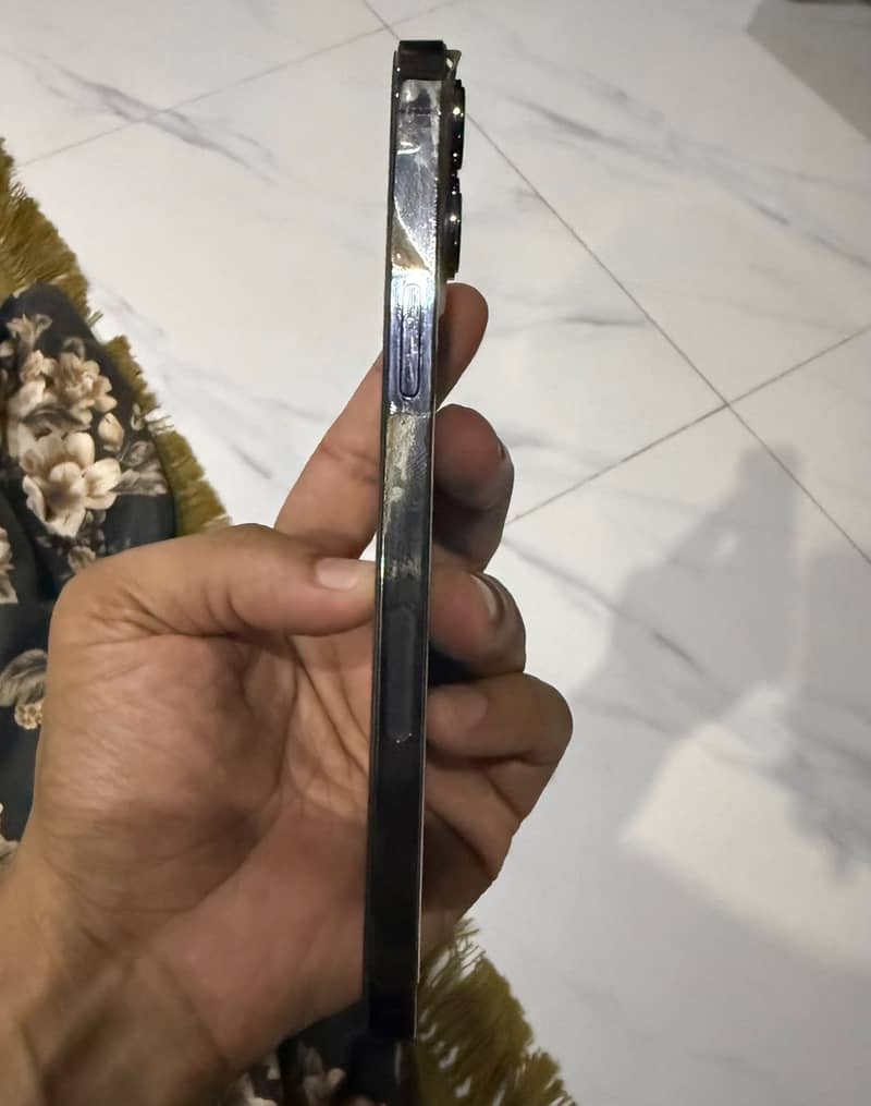 Apple iPhone 13 Pro Max 1