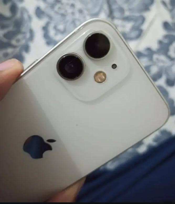 Apple iPhone 12 mini 1