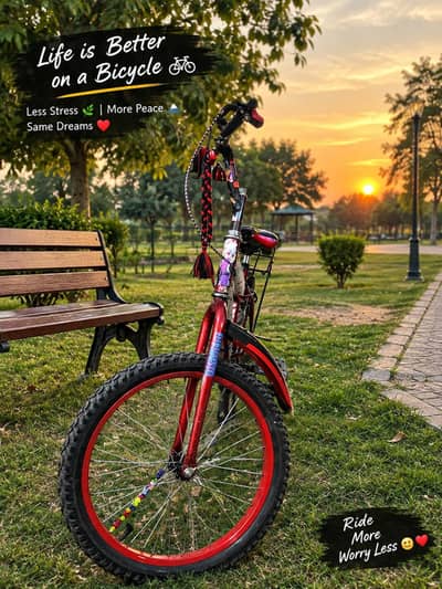 Phoenix Cycle | Almost New | Excellent Condition | 12,000 PKR