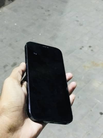 Apple iPhone 12 Pro Max