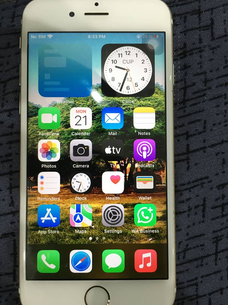 Apple iPhone 6S 1