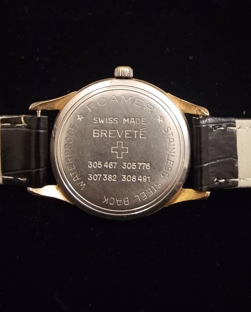 ROAMER ANFIBIO 1