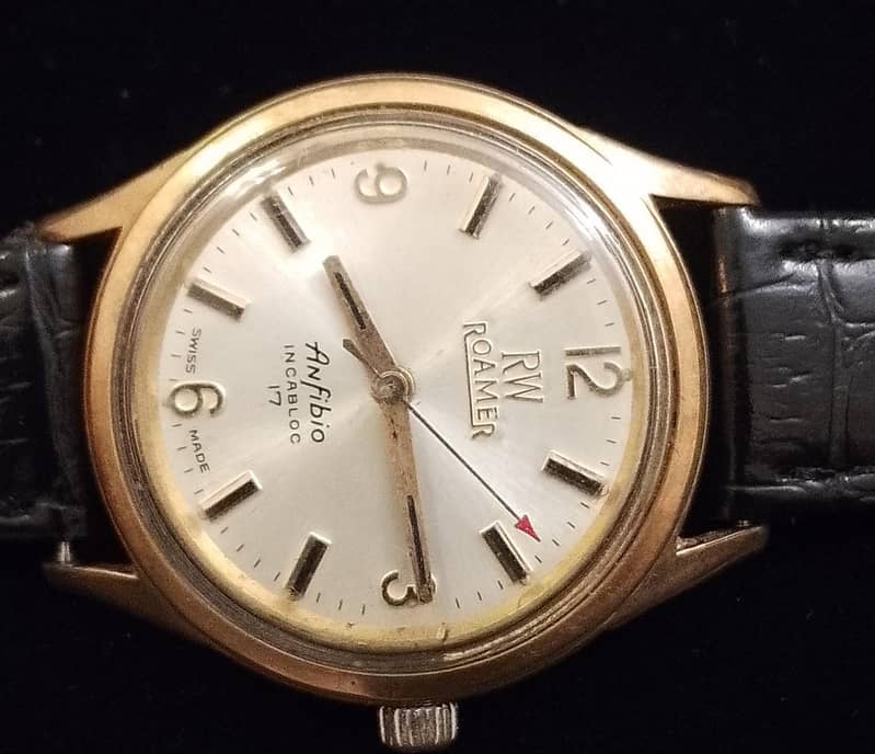 ROAMER ANFIBIO 2
