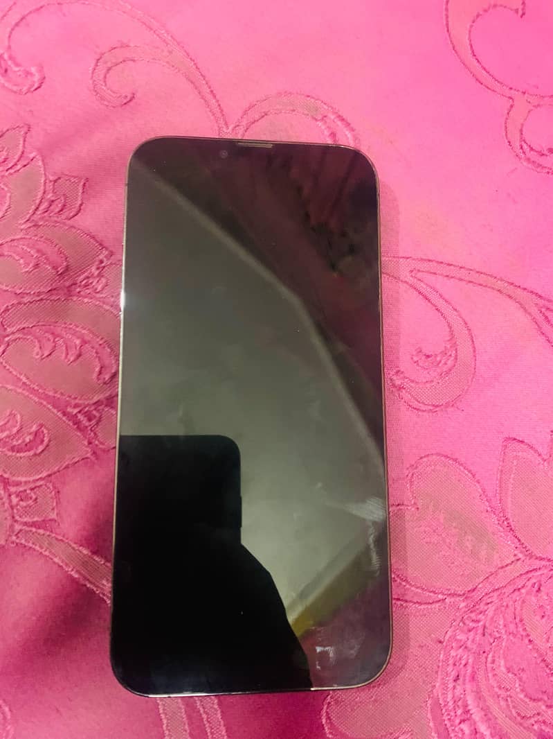 Apple iPhone 13 Pro Max 1