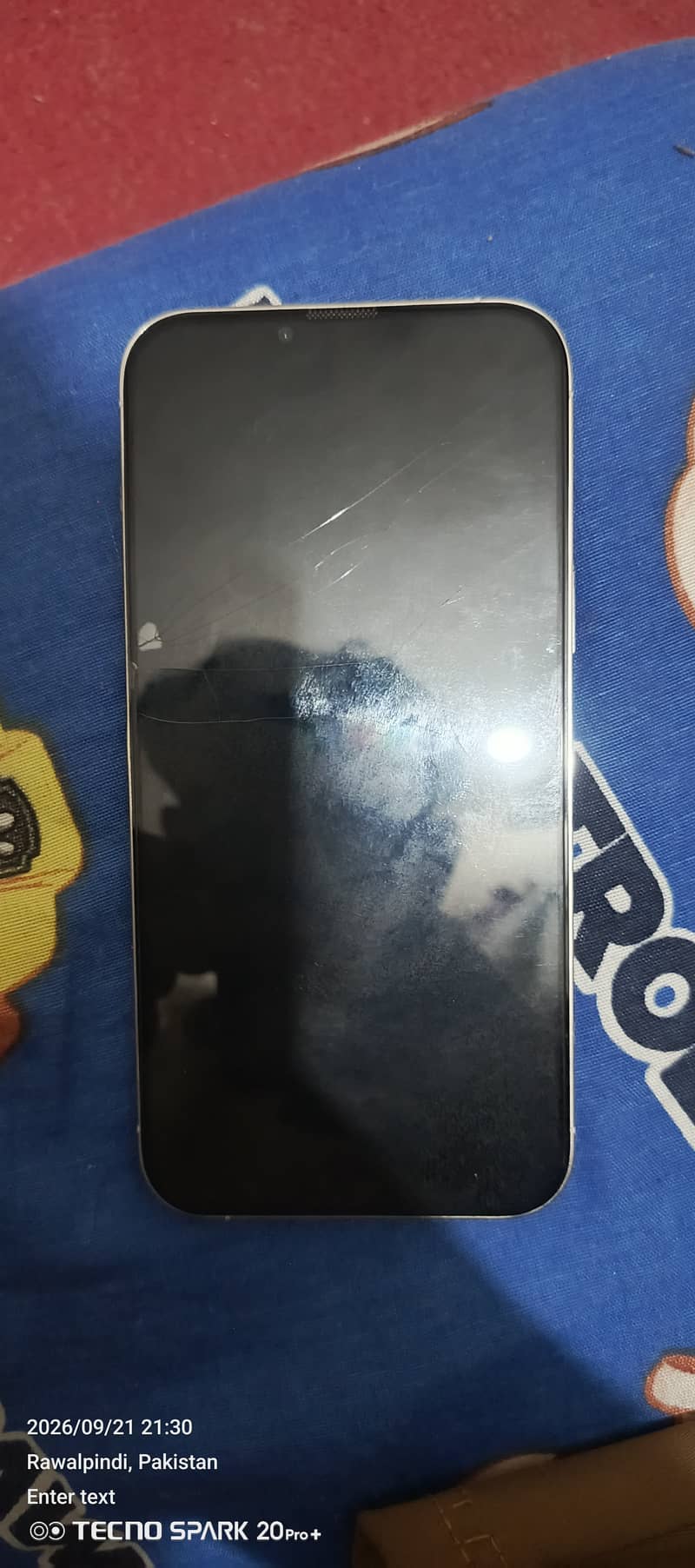 Apple iPhone 13 Pro Max 4