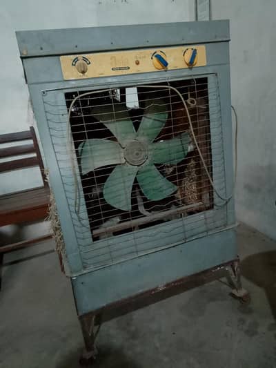 Lahori color 03410320005