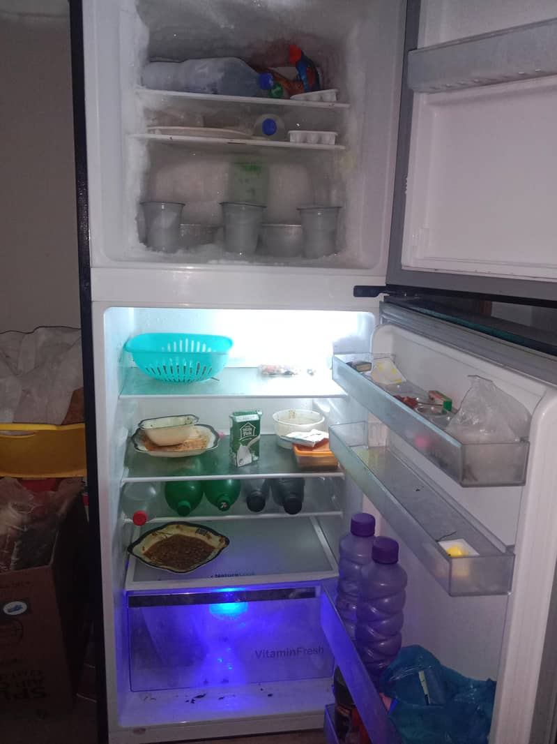 dowlance 12